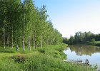 003_Metsä ym. kuvat